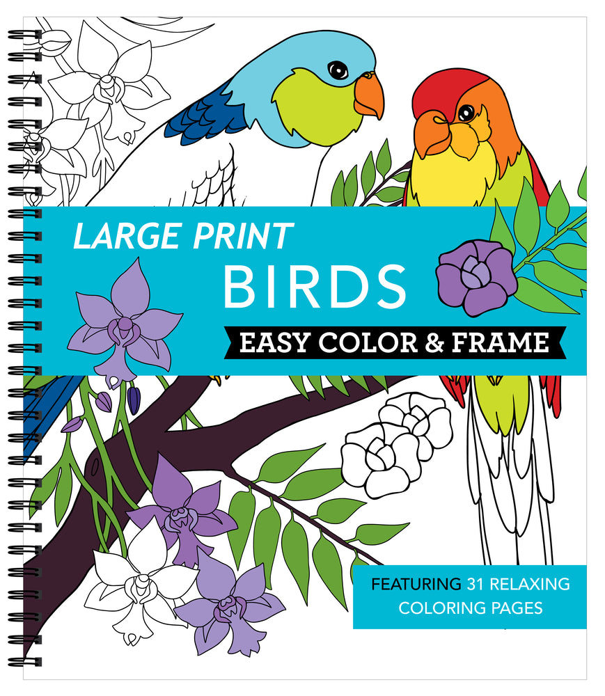Book cover for Large Print Easy Color & Frame - Birds (Stress Free Coloring Book)