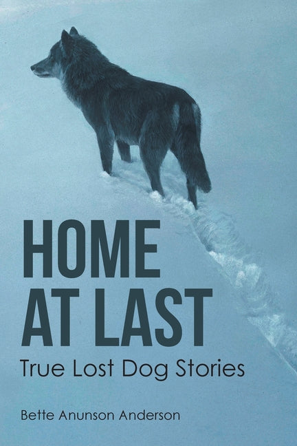 Book cover for Home at last: True Lost Dog Stories