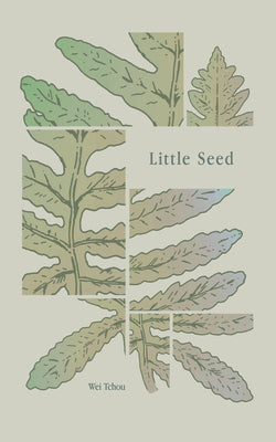 Book cover for Little Seed