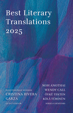 Book cover for Best Literary Translations 2025