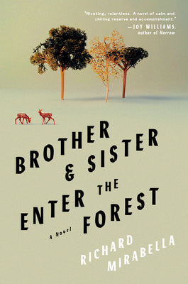 Book cover for Brother & Sister Enter the Forest