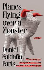 Book cover for Planes Flying Over a Monster: Essays