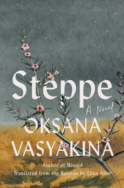 Book cover for Steppe