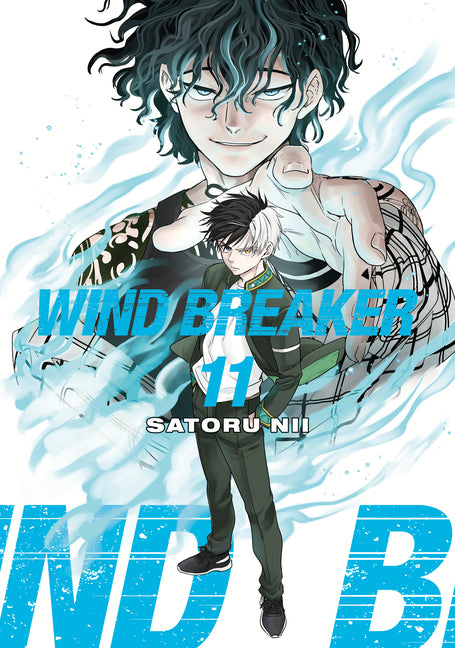 Book cover for Wind Breaker 11