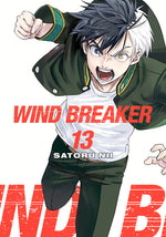 Book cover for Wind Breaker 13