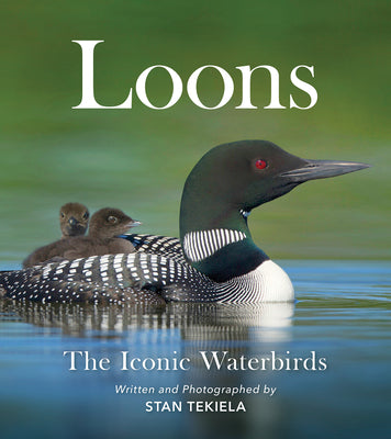 Book cover for Loons: The Iconic Waterbirds