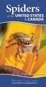 Book cover for Spiders of the United States & Canada: Easily Identify 153 Common Species