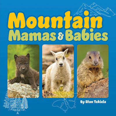 Book cover for Mountain Mamas & Babies