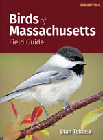 Book cover for Birds of Massachusetts Field Guide