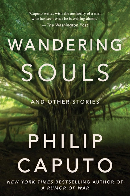 Book cover for Wandering Souls: And Other Stories