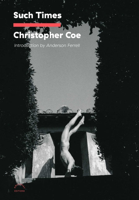 Book cover for Such Times