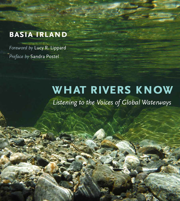 Book cover for What Rivers Know: Listening to the Voices of Global Waterways