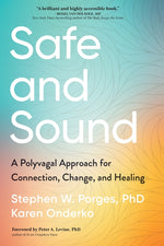 Book cover for Safe and Sound: A Polyvagal Approach for Connection, Change, and Healing