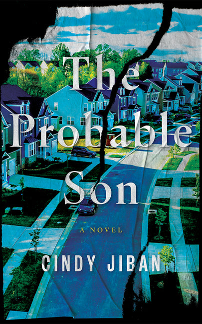 Book cover for Probable Son