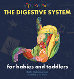 Book cover for The Digestive System for Babies and Toddlers