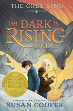 Book cover for Grey King (Reissue)