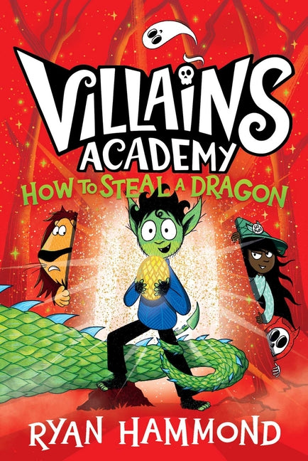 Book cover for How to Steal a Dragon