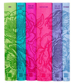 Book cover for Jane Austen Boxed Set