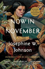Book cover for Now in November