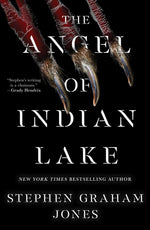 Book cover for The Angel of Indian Lake