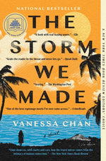 Book cover for Storm We Made