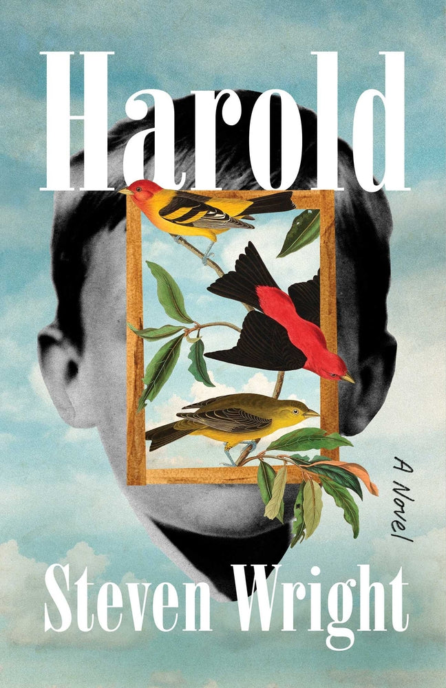 Book cover for Harold