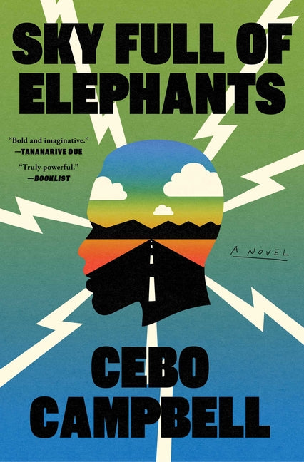 Book cover for Sky Full of Elephants