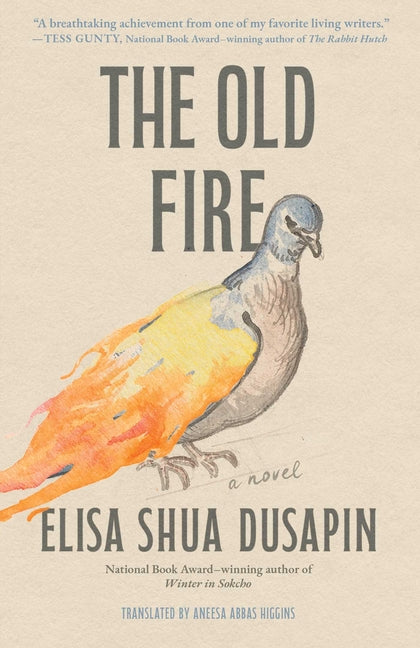 Book cover for Old Fire