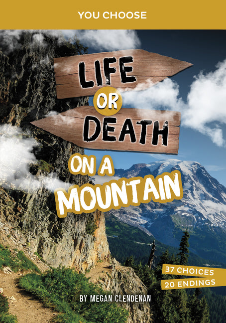 Book cover for Life or Death on a Mountain: An Interactive Survival Adventure