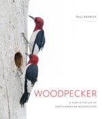 Book cover for Woodpecker: A Year in the Life of North American Woodpeckers