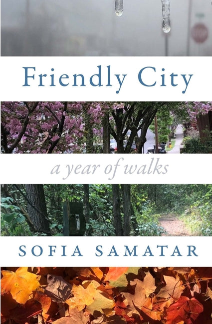 Book cover for Friendly City: A Year of Walks
