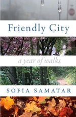 Book cover for Friendly City: A Year of Walks