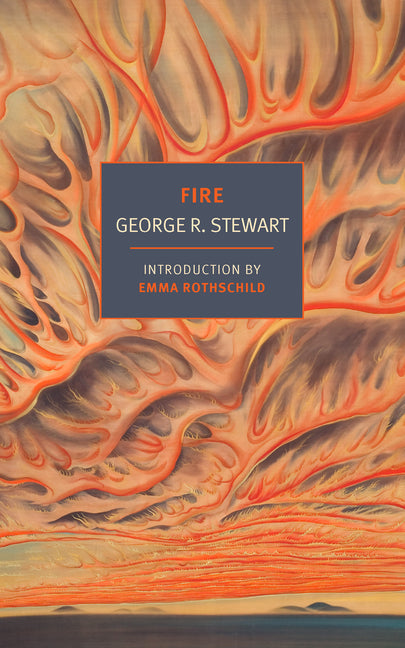 Book cover for Fire
