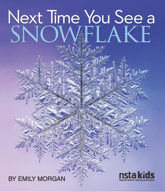 Book cover for Next Time You See a Snowflake