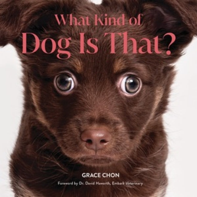 Book cover for What Kind of Dog Is That?