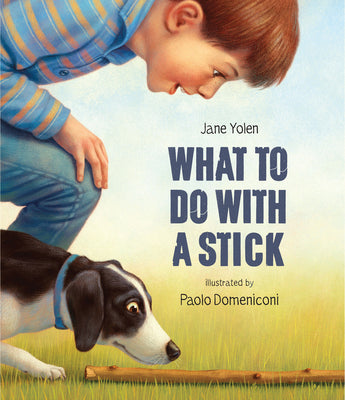 Book cover for What to Do with a Stick