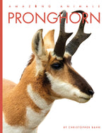 Book cover for Pronghorn