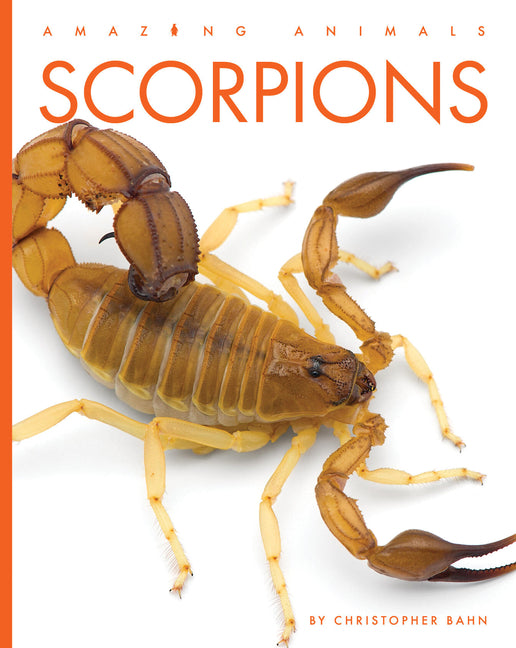 Book cover for Scorpions