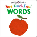Book cover for See Touch Feel: Words