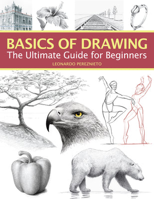 Book cover for Basics of Drawing: The Ultimate Guide for Beginners