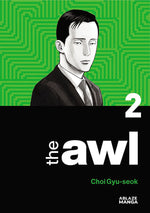 Book cover for The Awl Vol 2