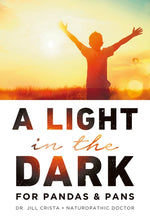 Book cover for A Light in the Dark for PANDAS & PANS