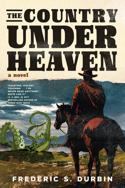Book cover for Country Under Heaven