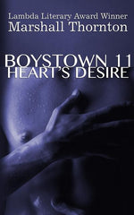 Book cover for Boystown 11: Heart's Desire