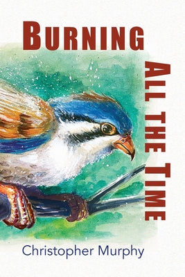 Book cover for Burning All the Time