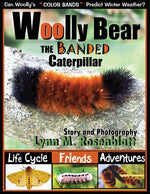 Book cover for Woolly Bear the Banded Caterpillar: Life Cycle, Friends and Adventures