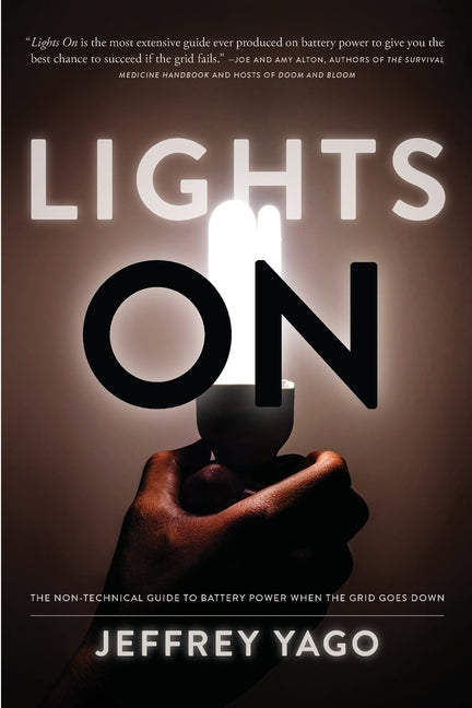 Book cover for Lights On