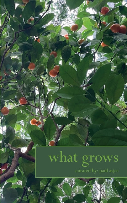 Book cover for What Grows
