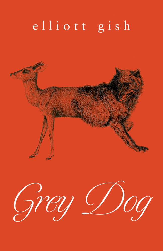 Book cover for Grey Dog