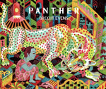 Book cover for Panther